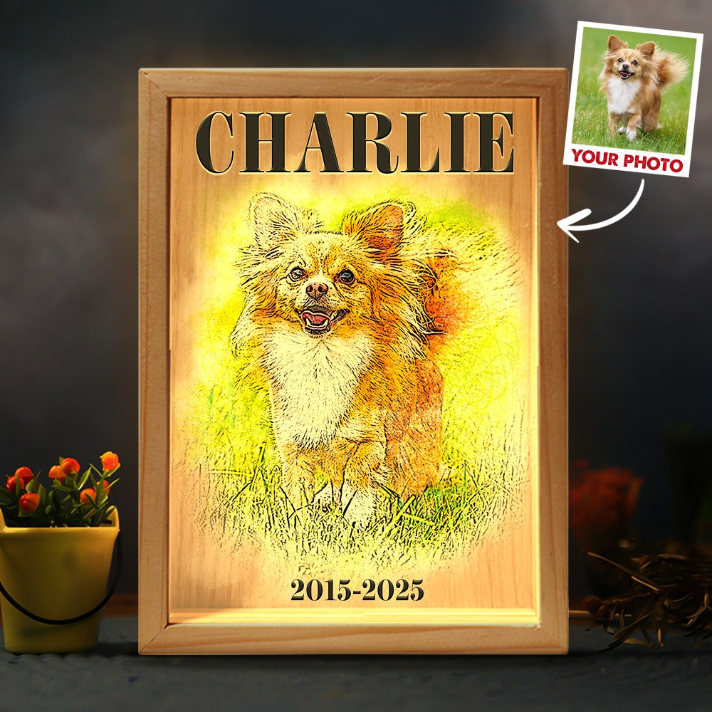 Custom Pet Photo, Sympathy Gift For Pet Owners - Personalized Memorial Frame Light Box