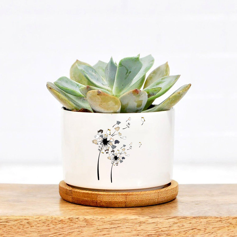 Dandelion Cats Flower Colorful Pet Cat Plant Pot
