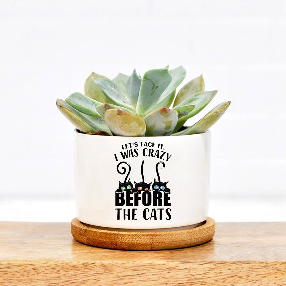Let's Face It I Was Crazy Before The Cats Plant Pot, Funny cat planter,  cute cat gifts, Cat lover decor – Viralcitron