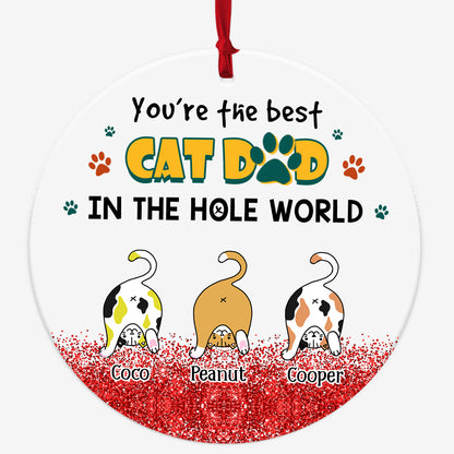 Personalized You Are The Best Cat Dad In The Hole World Acrylic Ornament