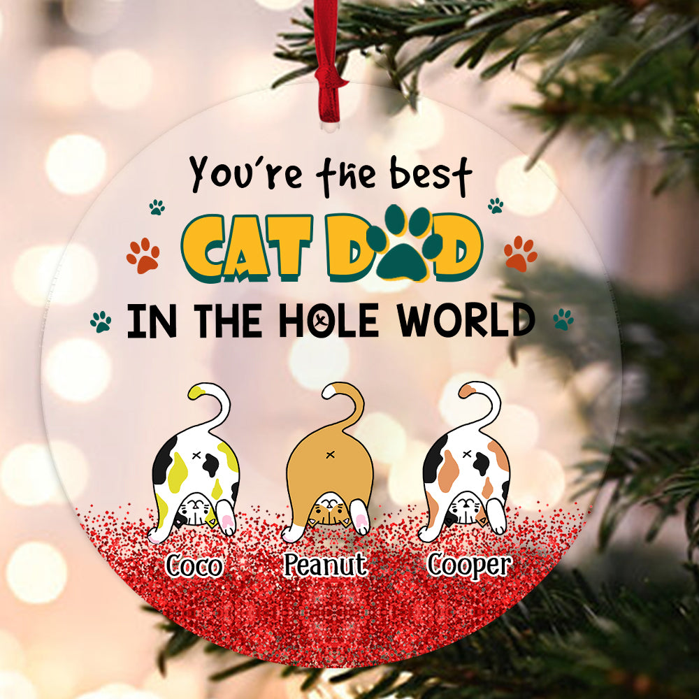 Personalized You Are The Best Cat Dad In The Hole World Acrylic Ornament