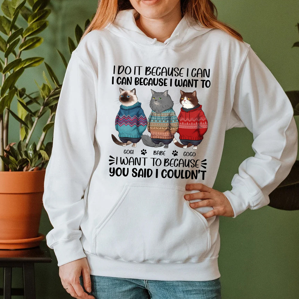 Personalized Funny Cat I Do It Because I Can I Can Because I Want To Hoodie