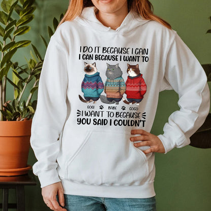 Personalized Funny Cat I Do It Because I Can I Can Because I Want To Hoodie