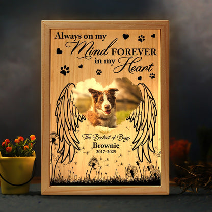 Custom Pet Photo Memorial, Always On My Mind Forever In My Heart - Personalized Memorial Frame Light Box