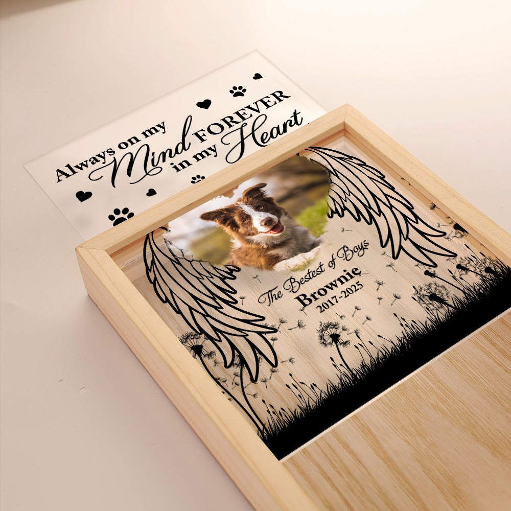 Custom Pet Photo Memorial, Always On My Mind Forever In My Heart - Personalized Memorial Frame Light Box