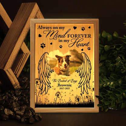 Custom Pet Photo Memorial, Always On My Mind Forever In My Heart - Personalized Memorial Frame Light Box