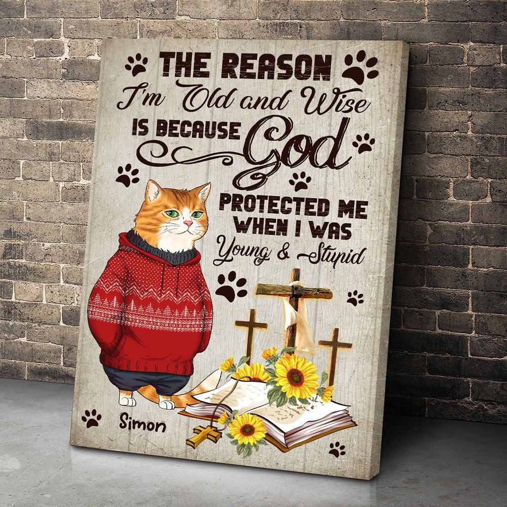 Personalized Funny Cat The Reason I Am Old And Wise Because God Protected Me Poster Canvas