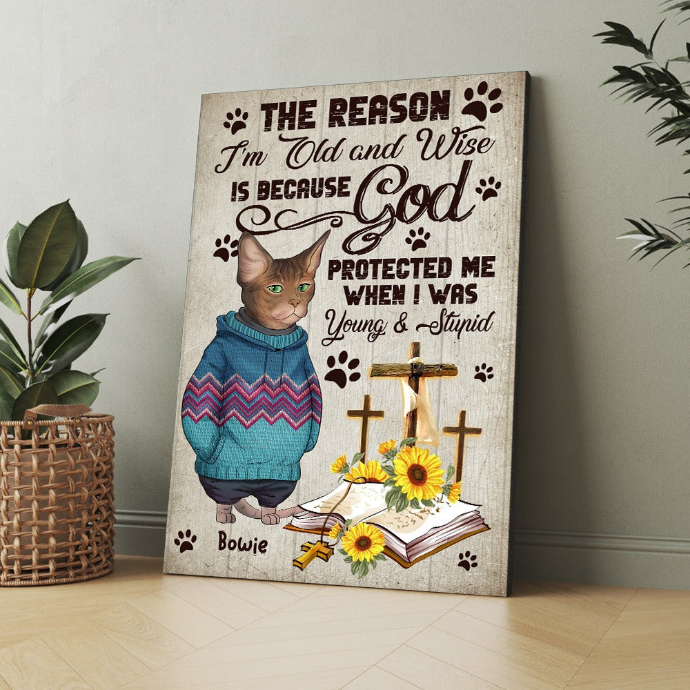 Personalized Funny Cat The Reason I Am Old And Wise Because God Protected Me Poster Canvas