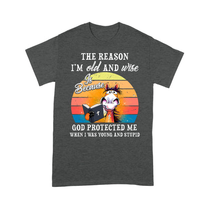 Horse The Reason I’m Old And Wise Is Because God Protected Me When I Was Young And Stupid T-Shirt