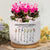 Personalized Grandma's Garden, Custom Birth Month Flower Family Love Grows Here Plant Pot