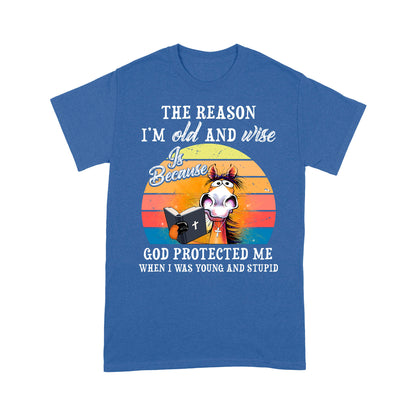 Horse The Reason I’m Old And Wise Is Because God Protected Me When I Was Young And Stupid T-Shirt