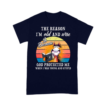 Horse The Reason I’m Old And Wise Is Because God Protected Me When I Was Young And Stupid T-Shirt