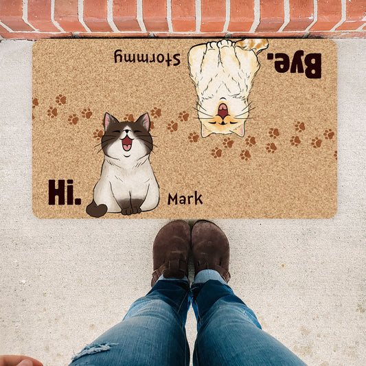 Personalized Custom Names and Cats Hi Bye Cats Funny Doormat