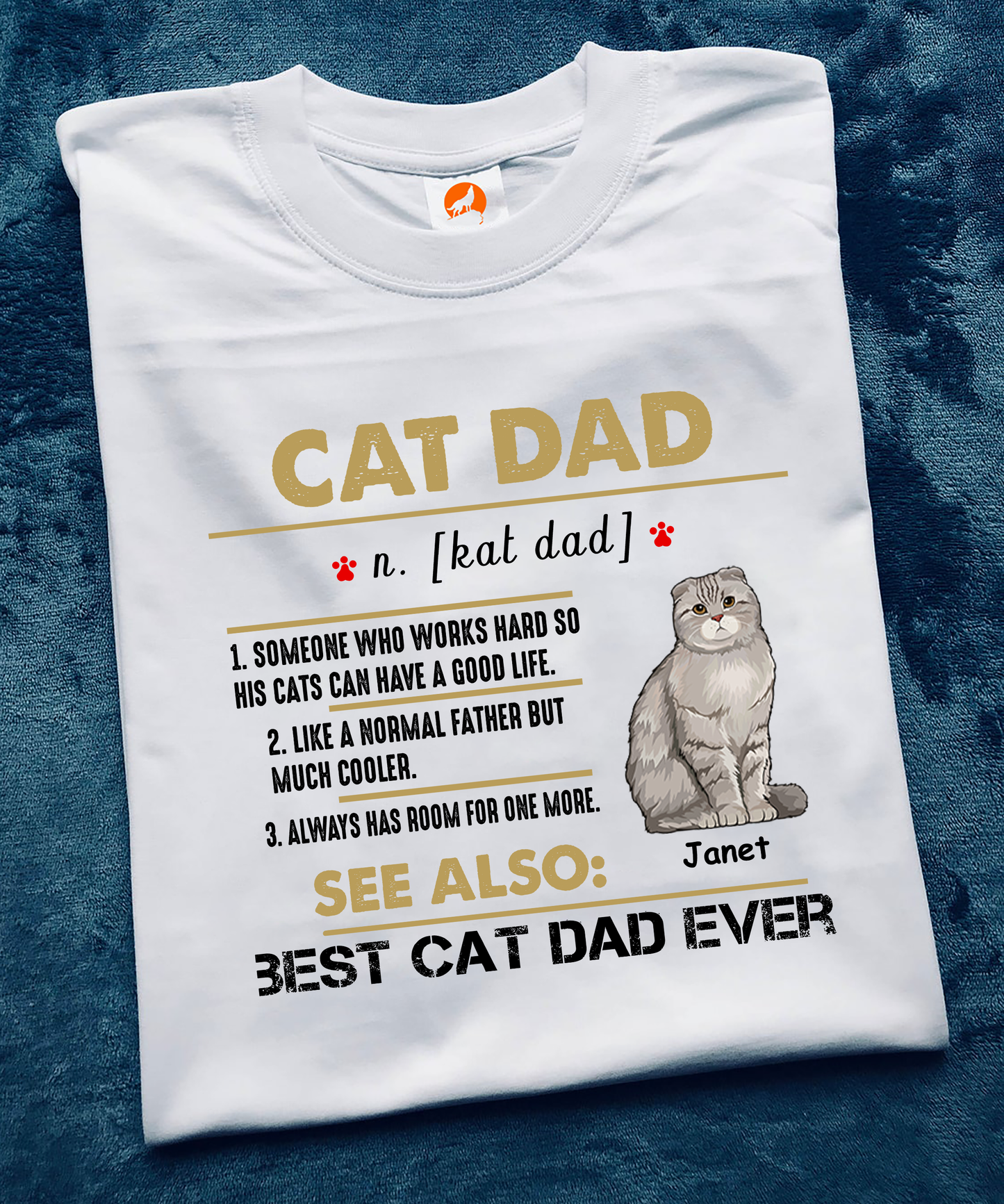 Personalized, Cat Dad Definition, Best Cat Dad Ever, Custom Gift for Cat Lovers, Standard T-Shirt